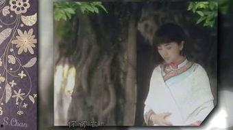 破茧边缘,探寻蜕变与突破的奥秘