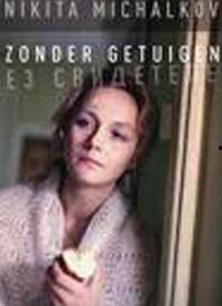 没有证人,探寻身份与归属的边缘故事