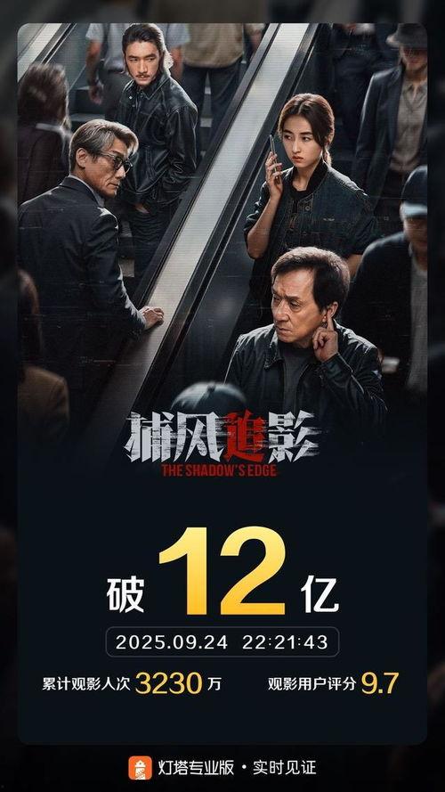 捕风追影 粤语版,粤韵飘香，探秘江湖传奇