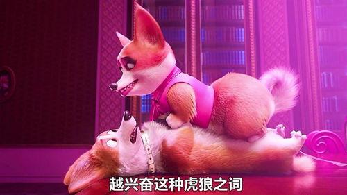 英雄狗：回家之旅,一场跨越千里的冒险之旅