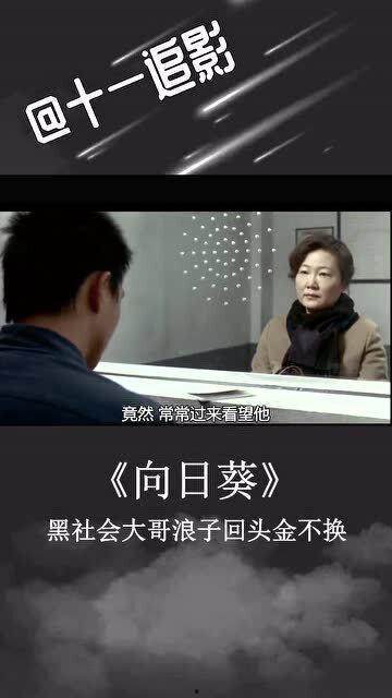 重生：逼着社会老爸金盆洗手,逼令社会老爸金盆洗手，谱写新篇章